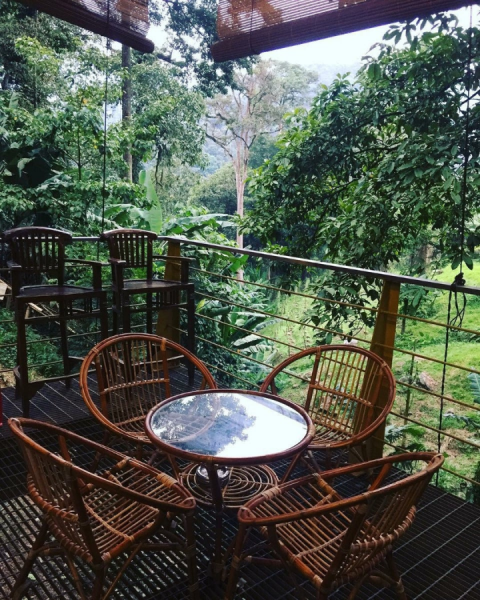 E Farm Restaurant Reviews Soulusi Com